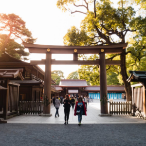 Viaje a Japón, 8 días a partir del 14/11/2026, 2 personas, pago final del 70%.