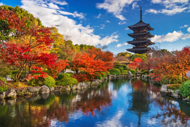 Japan in 7 Days: Red Maples